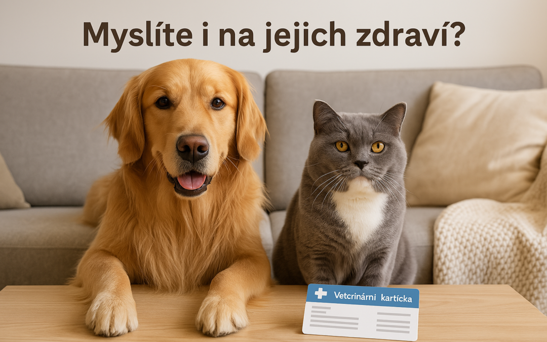 Jak pojistit Vašeho mazlíčka